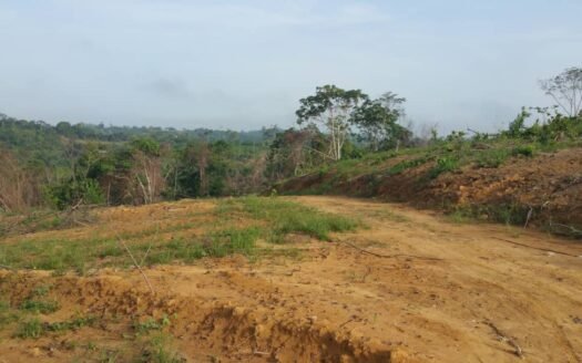 Terrain 400m2 à vendre à Douala PK28